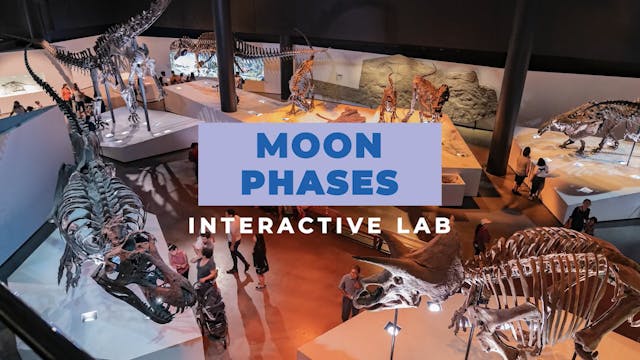 HMNS Labs: Moon Phases