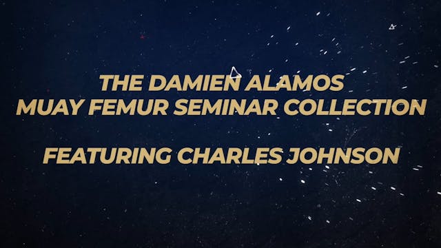 The Damien Alamos Femur Seminar Colle...