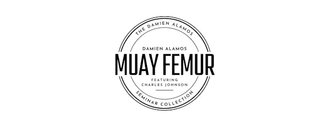 The Damien Alamos Muay Femur Seminar Collection 