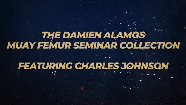 Damien Alamos Femur Seminar Collection Section1