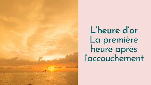 Capsule doula | L'heure d'or (premièr...