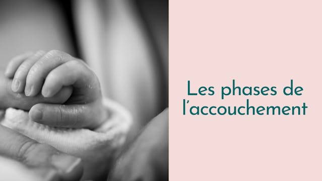 Capsule Doula | Les phases de l'accou...