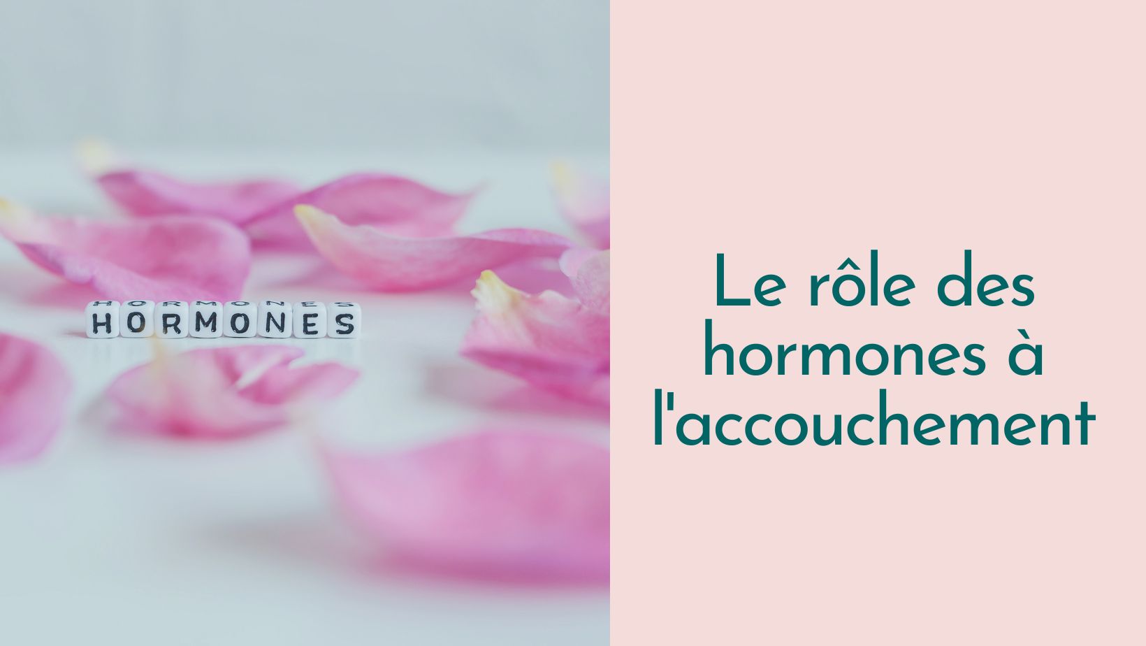 Capsule Doula | Le rôle des hormones à l'accouchement