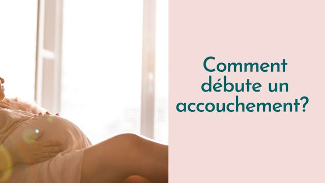 Capsule Doula | Comment débute un acc...