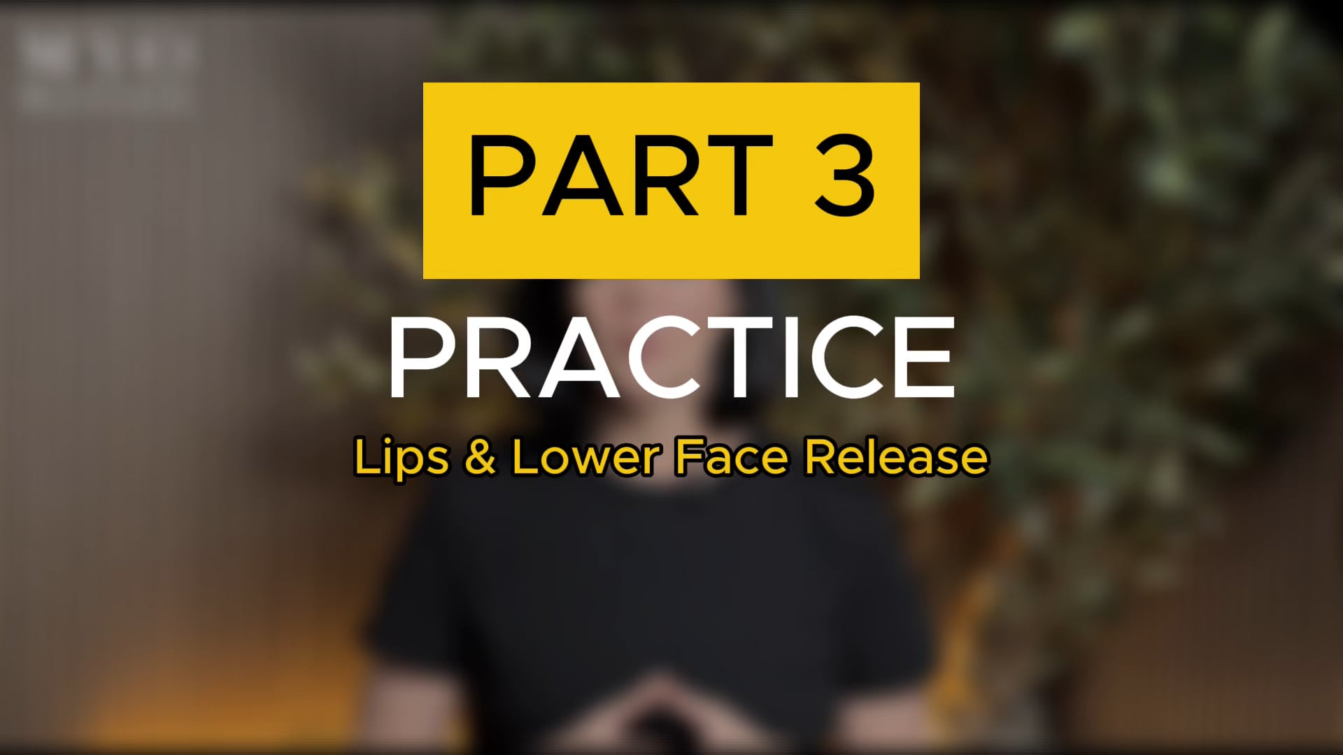 Lesson 3. Practice