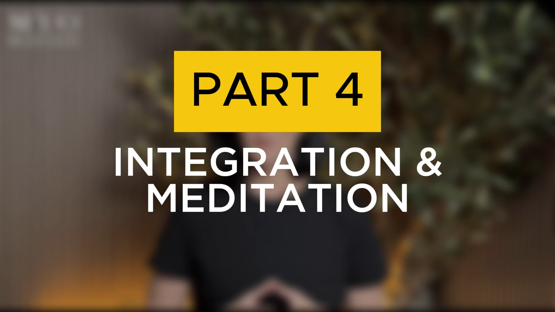 Lesson 3. Meditation