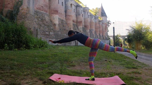 Lower body/inner thigh toner
