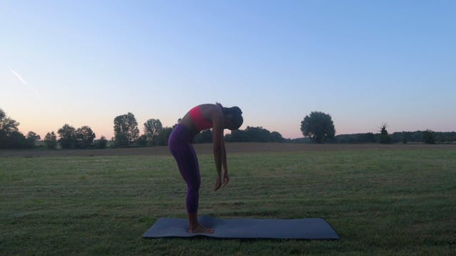 Beginner flow