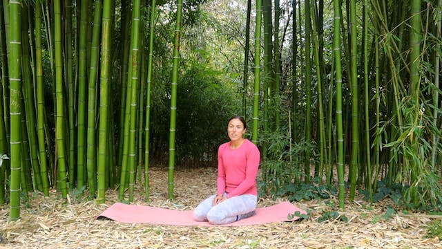 Core circuit to feel good