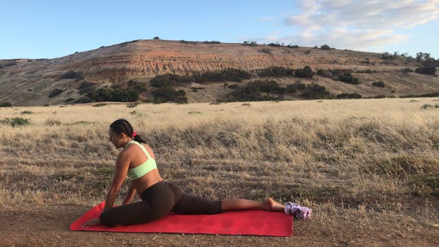 Lower body & back stretching