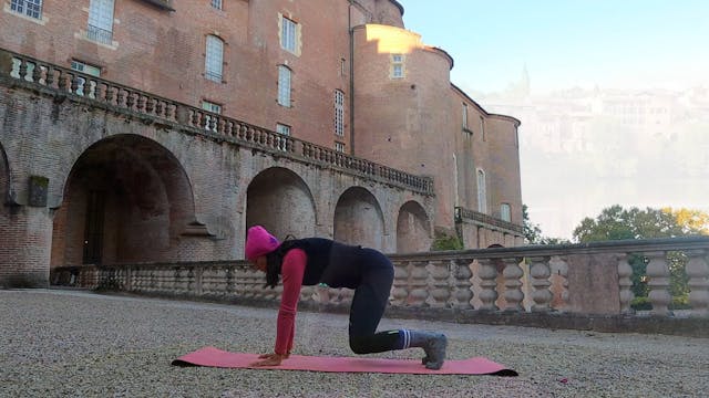 Upper body toning circuit