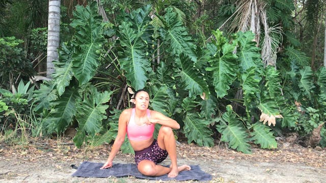 GFLA abs circuit