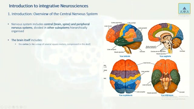 Introduction to Integrative Neuroscie...