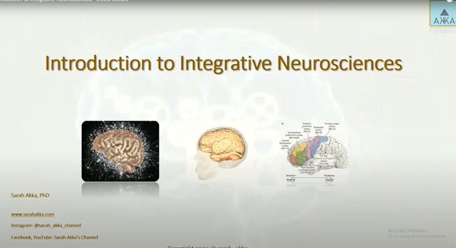 Introduction to Integrative Neuroscie...