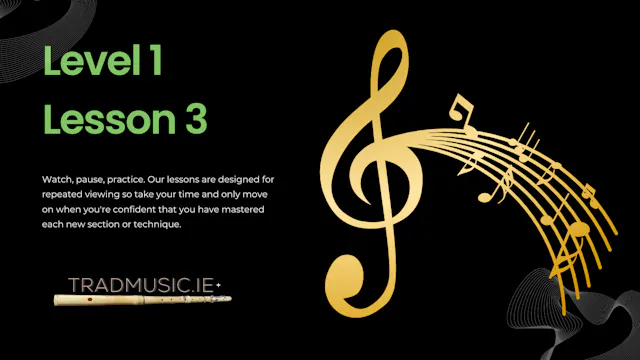 Level 1, Lesson 3