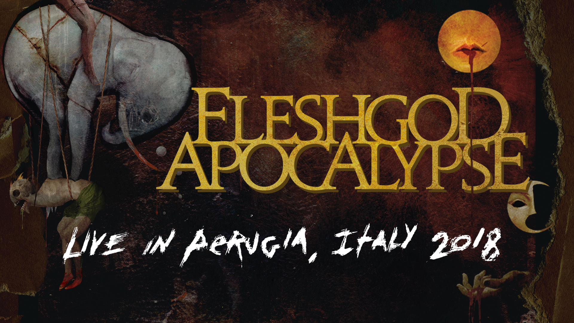 ◎4枚セット【FLESHGOD APOCALYPSE】1st〜3rd/1stEP 71NWycPLAfL._UF1000,1000_QL80_.jpg