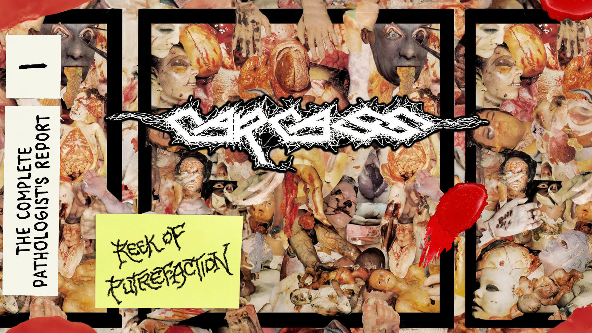 The Complete Pathologist's Report Part I