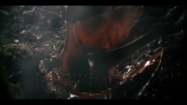 Conjuring The Dead (Video Clip)