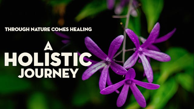 A Holistic Journey