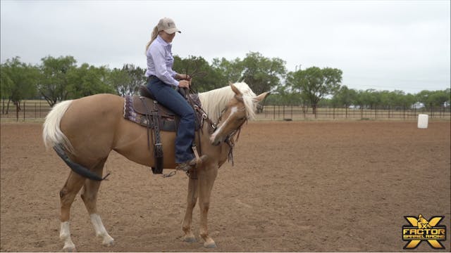Loni Kay Lester Likes Horses with Lot...