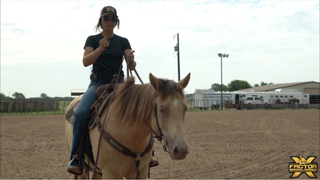 Billie Ann Harmon Tries to Keep Her Horses Soft