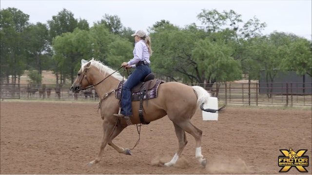 Warming Your Horse Up with Loni Kay Lester