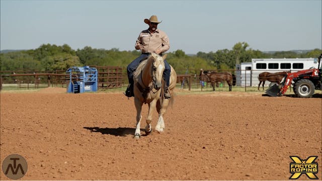 Warming Up Your Horse with Tyler Merrill