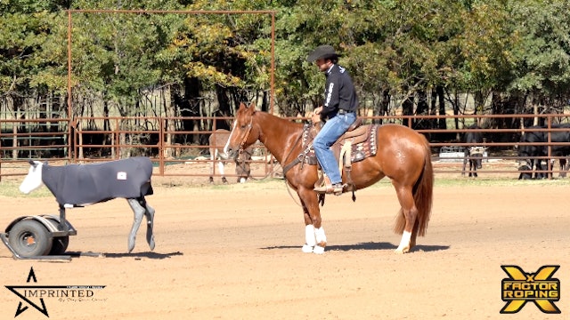 Shay Carroll's Day 1 of "Imprinted" Training: Mimicking Rider Behavior