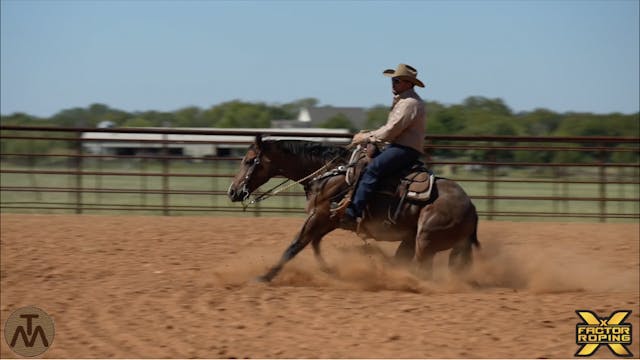 Stopping Your Horse with Tyler Merrill