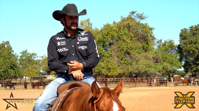 How to Better Understand Your Horse with Shay Carroll