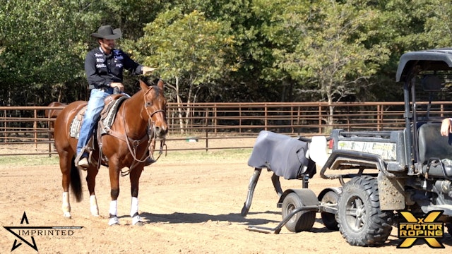 Ideal Rope Horse Training Maneuvers by Shay Carroll
