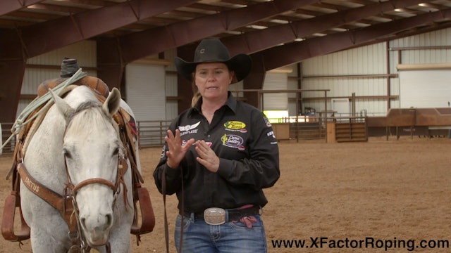Facing Your Horse with Lari Dee Guy
