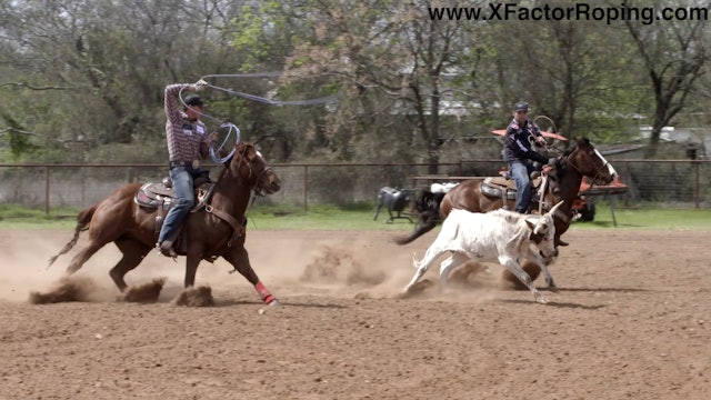 Heeling Steers That Are Wide Legged and Heavy with Wesley Thorp