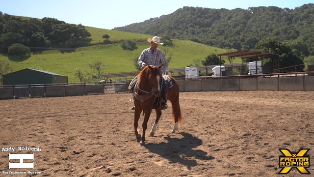 Teaching Your Horse to Turn Around with Andy Holcomb 