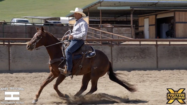 The Beginning Stages of Training Your Horse to Stop with Andy Holcomb