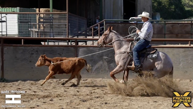 Practicing the Rope Horse Fundamentals with Andy Holcomb