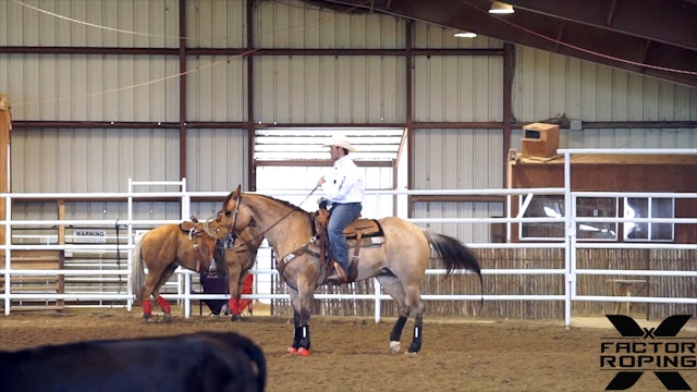Teaching a Horse to Face with Tyler Wade