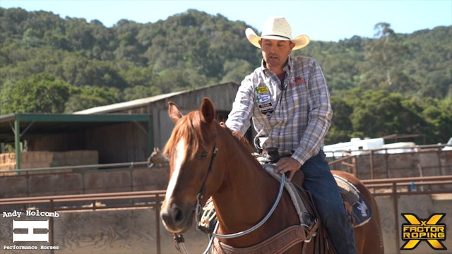 Transitioning a Young Horse into a Bridle with Andy Holcomb