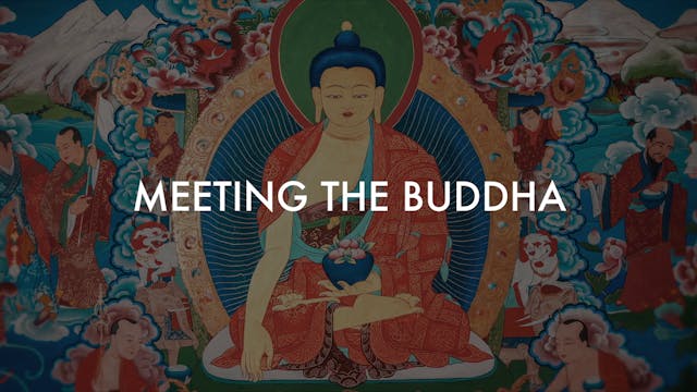 Meeting the Buddha