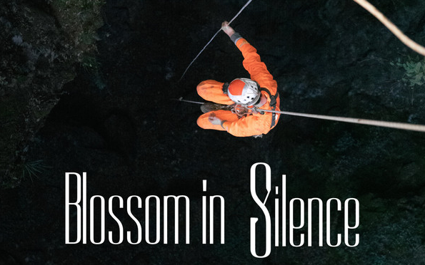 Blossom In Silence
