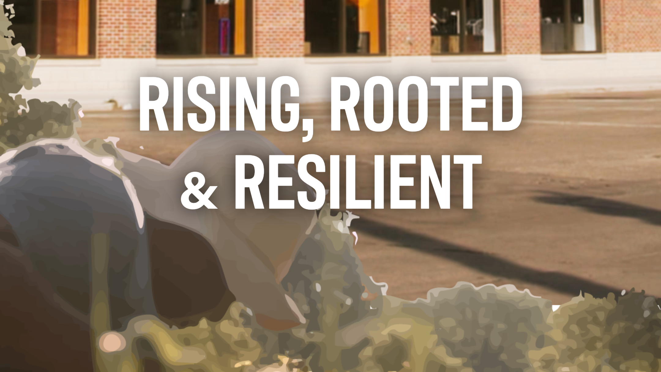 Rising, Rooted, and Resilient