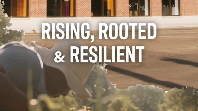 Rising, Rooted, and Resilient