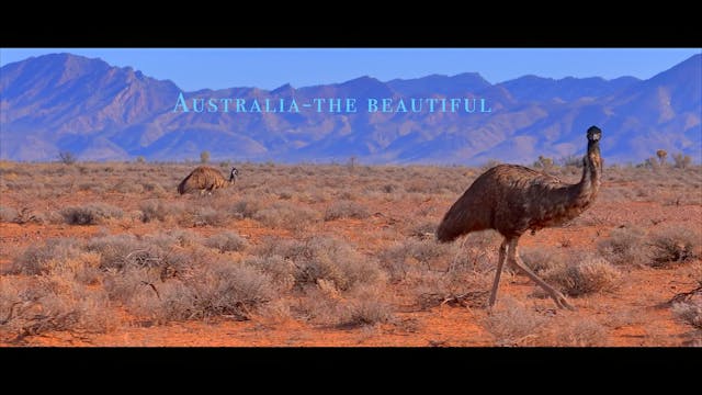 Australia-the beautiful