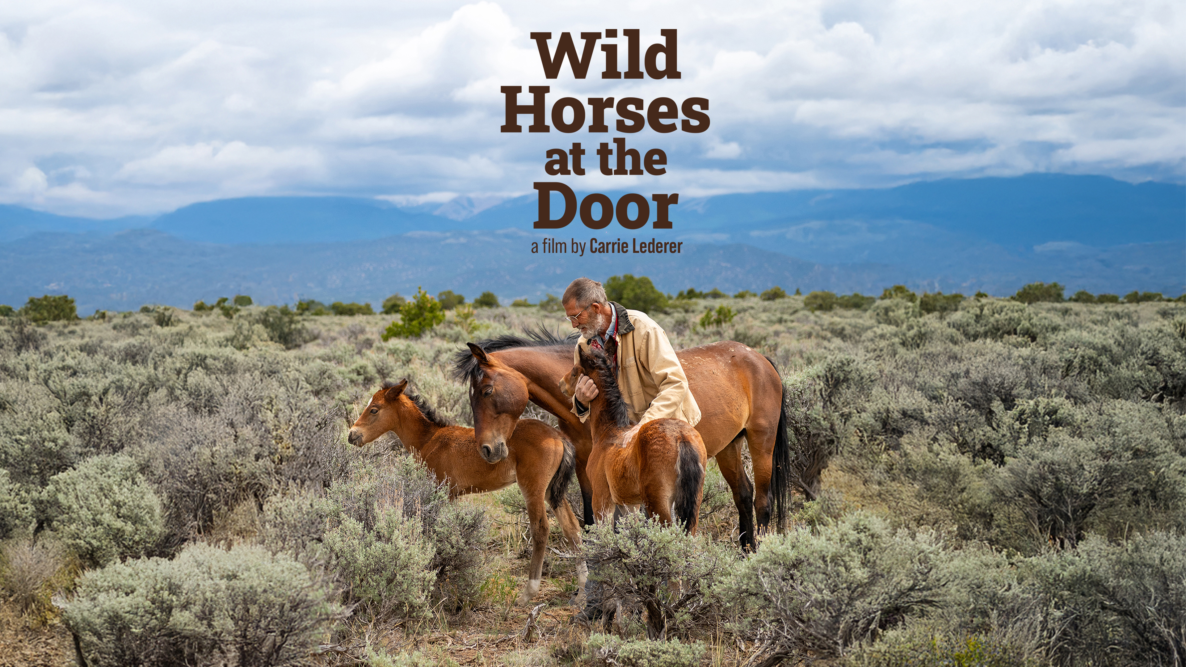 Wild Horses at the Door