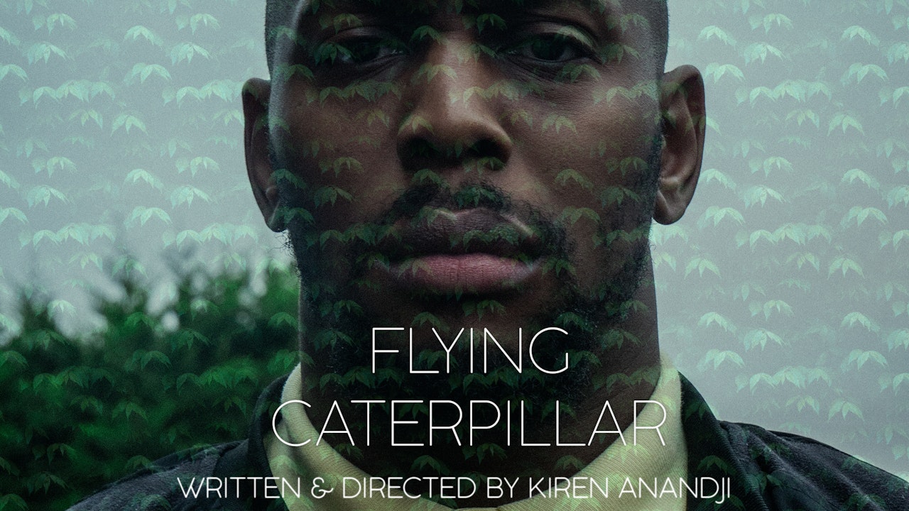 Flying Caterpillar