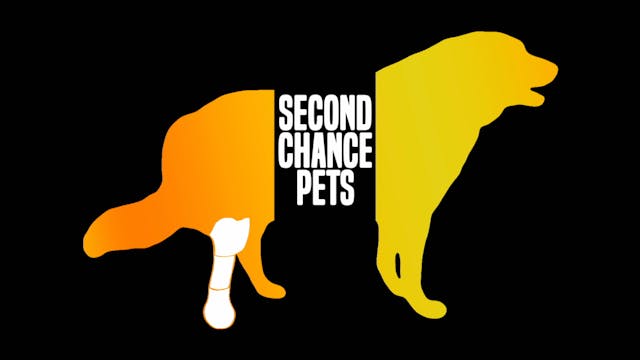 Second Chance Pets