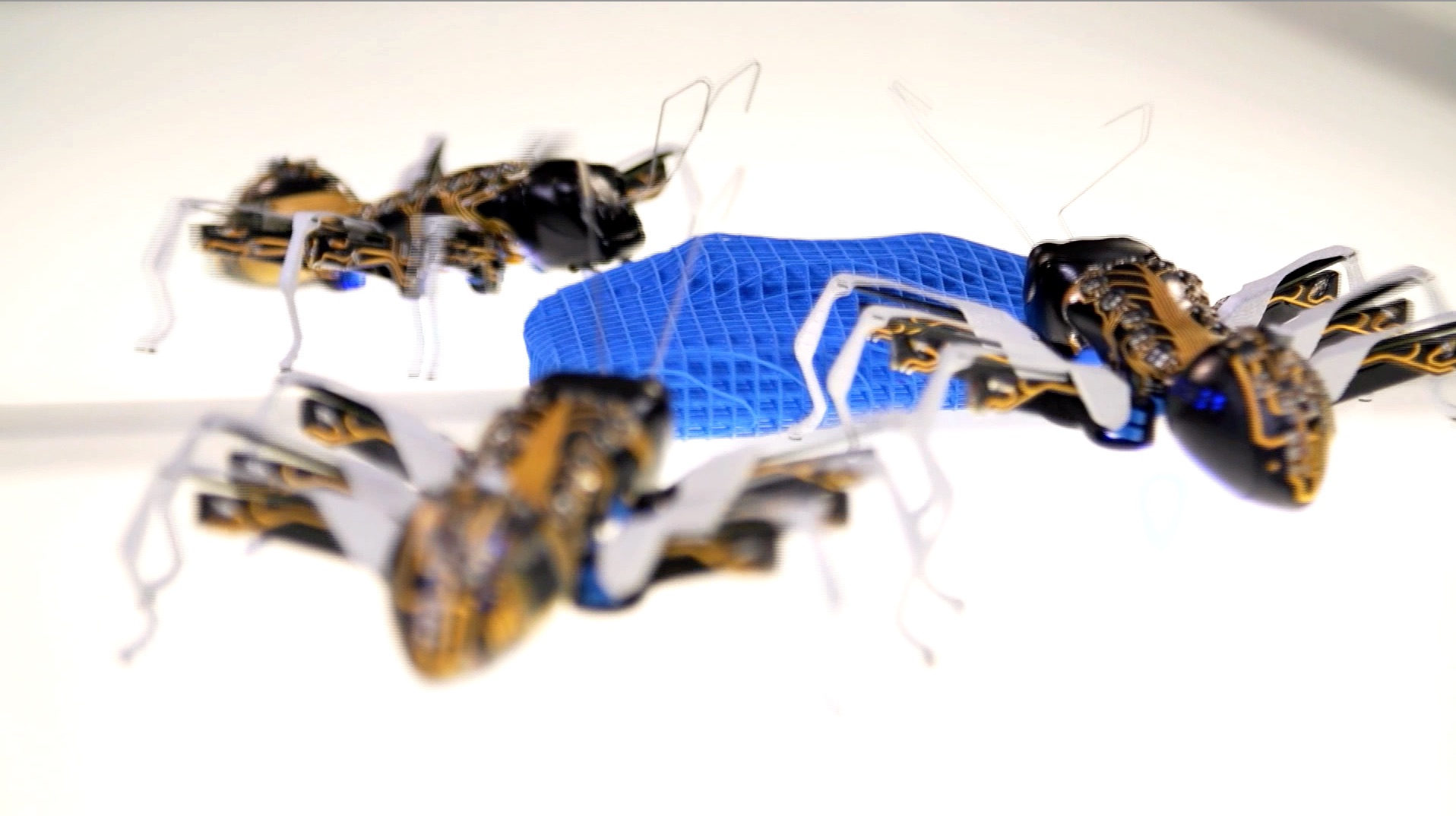 S1 Ep 10 - Copying Nature's Communication