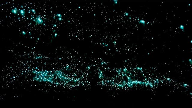 S2 Ep 9 - Strange Planet