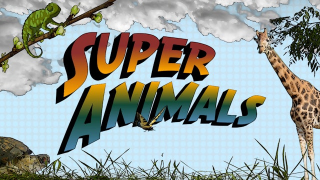 Super Animals