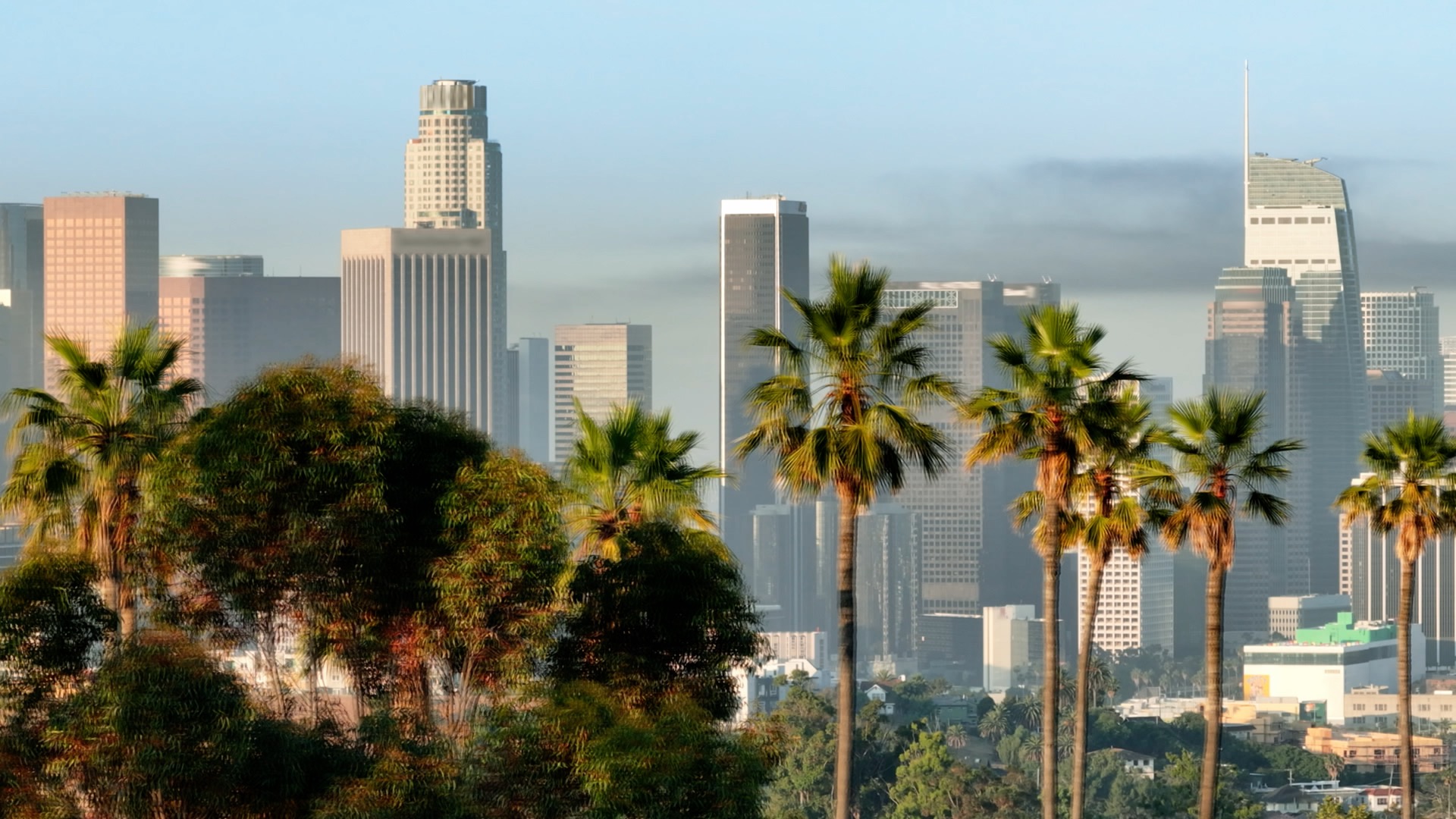 S7 Ep 5 Trees: The Planet's Silent Protectors